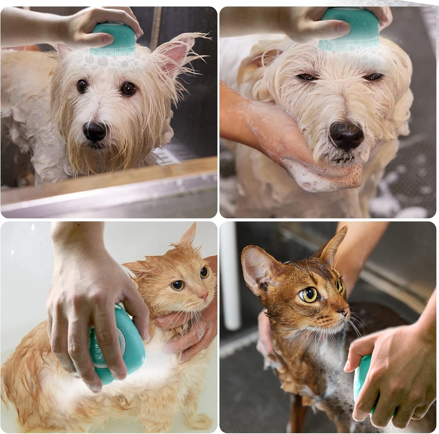 Ultimate Pet Bath Brush - Soft Silicone Shampoo Dispenser for Gentle Grooming of Dogs and Cats (Blue)