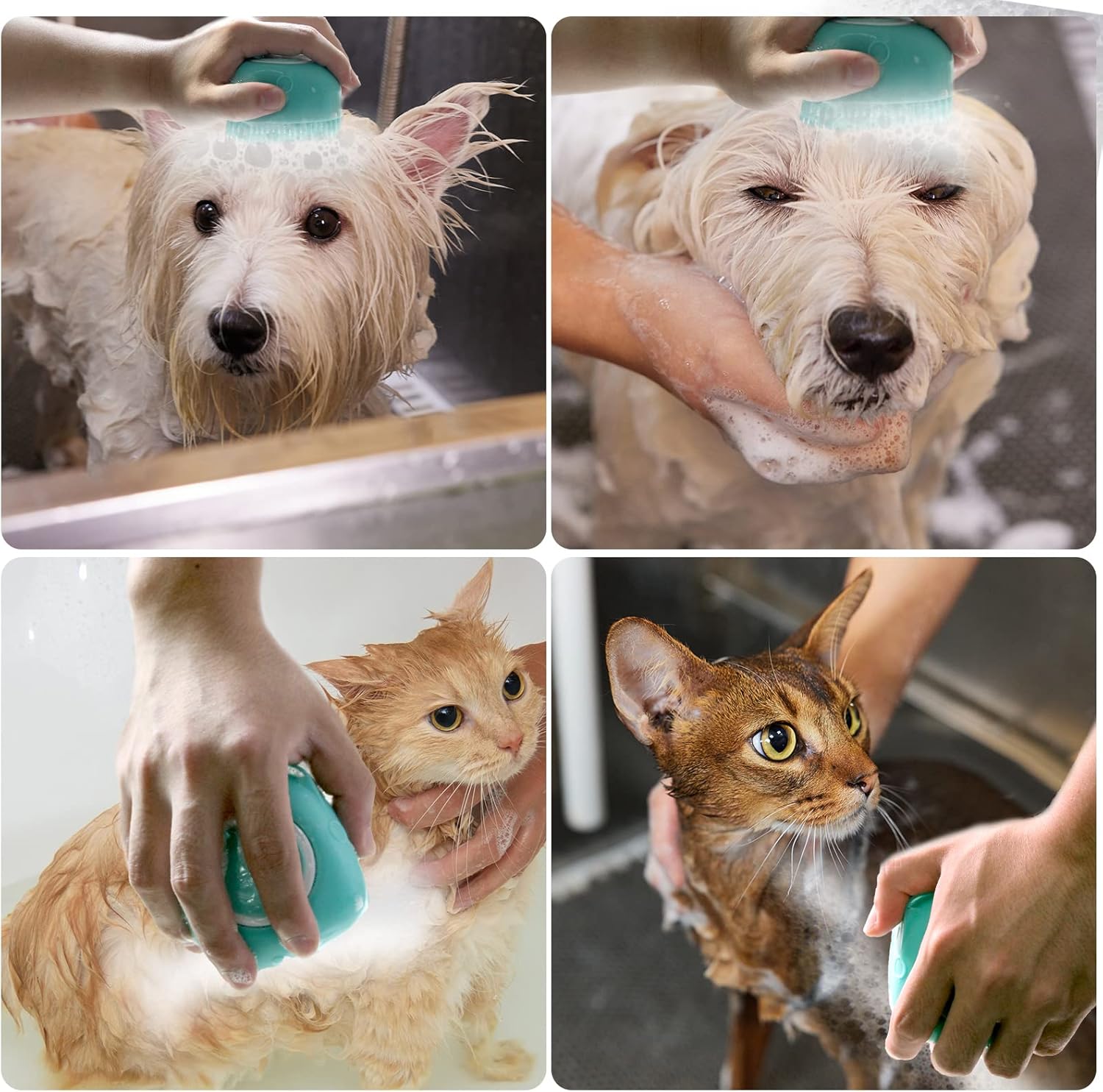 Ultimate Pet Bath Brush - Soft Silicone Shampoo Dispenser for Gentle Grooming of Dogs and Cats (Blue)