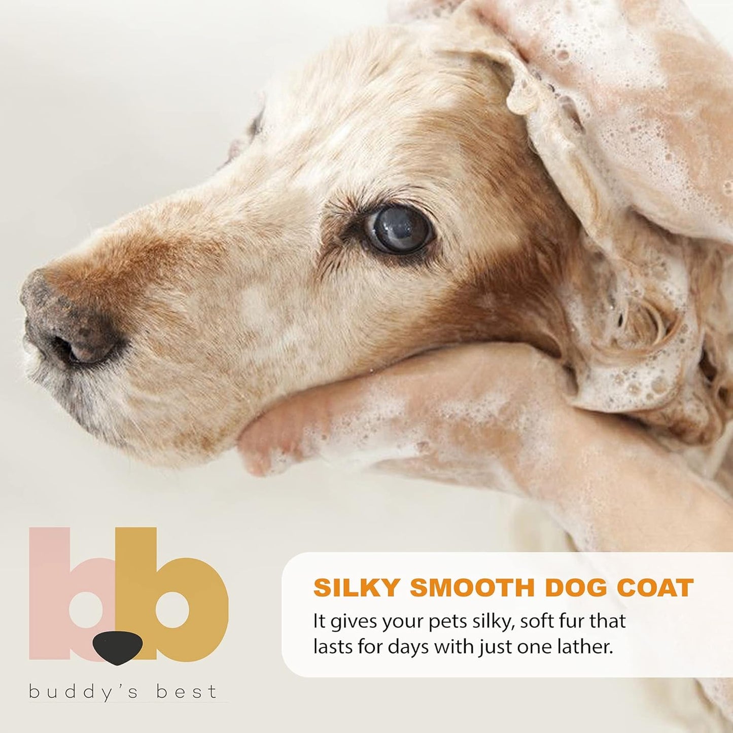 Transform Your Dog's Bath Time with Buddy's Best Calming Lavender Oatmeal Shampoo & Conditioner - 16oz of Gentle, Moisturizing Care for Sensitive Skin
