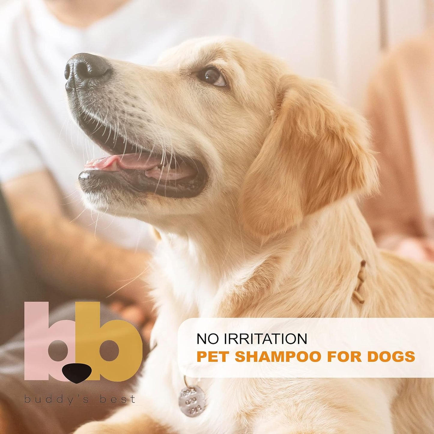Transform Your Dog's Bath Time with Buddy's Best Calming Lavender Oatmeal Shampoo & Conditioner - 16oz of Gentle, Moisturizing Care for Sensitive Skin